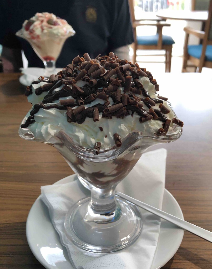 Ice Cream Chocolate Sundae by arkensiel