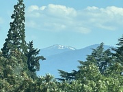 1st Jul 2023 - Mount Ashland