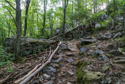3rd Jul 2023 - Pine Mountain West Trail