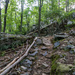 Pine Mountain West Trail by kvphoto