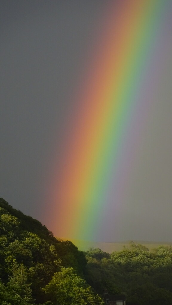 rainbow by anniesue