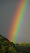 3rd Jul 2023 - rainbow