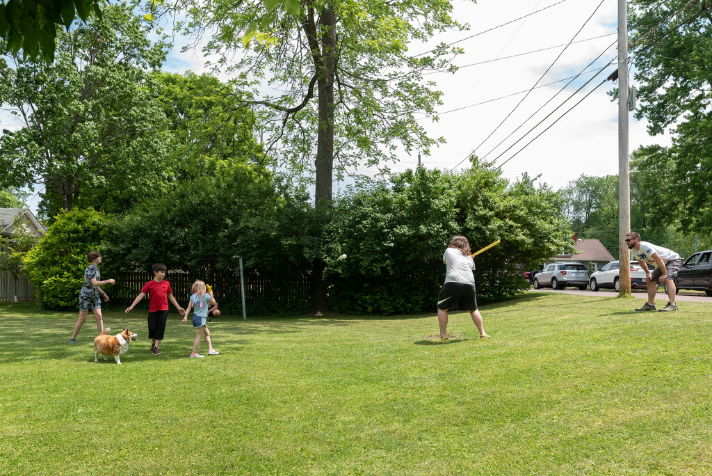 Back yard ball for memorial day by mistyhammond