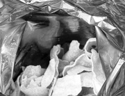 3rd Jul 2023 - A Face in My Chip Bag