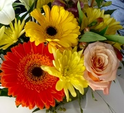 4th Jul 2023 - A Lovely Gerbera In One Of My Bouquets ~