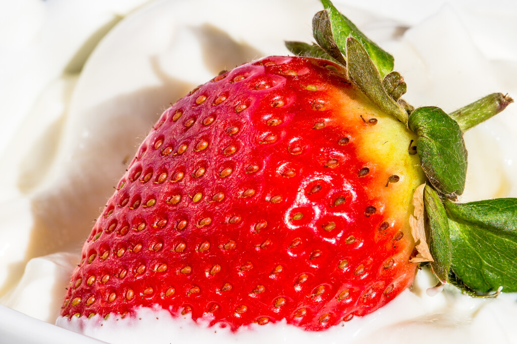 Strawberry & Yoghurt by seacreature
