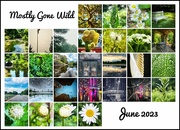30th Jun 2023 - 30 Days Mostly Wild