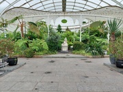 28th Jun 2023 - The Kibble Palace,  Botanic Gardens,  Glasgow 