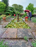 1st Jul 2023 - Southwick House walled garden 