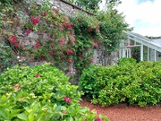 2nd Jul 2023 - Southwick House walled garden 