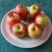A plate of Jazz Apples. by grace55