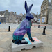 Hare There and Everywhere by lifeat60degrees