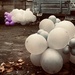 Balloon Invaders by nickspicsnz