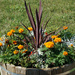 Flower barrel in patio by larrysphotos