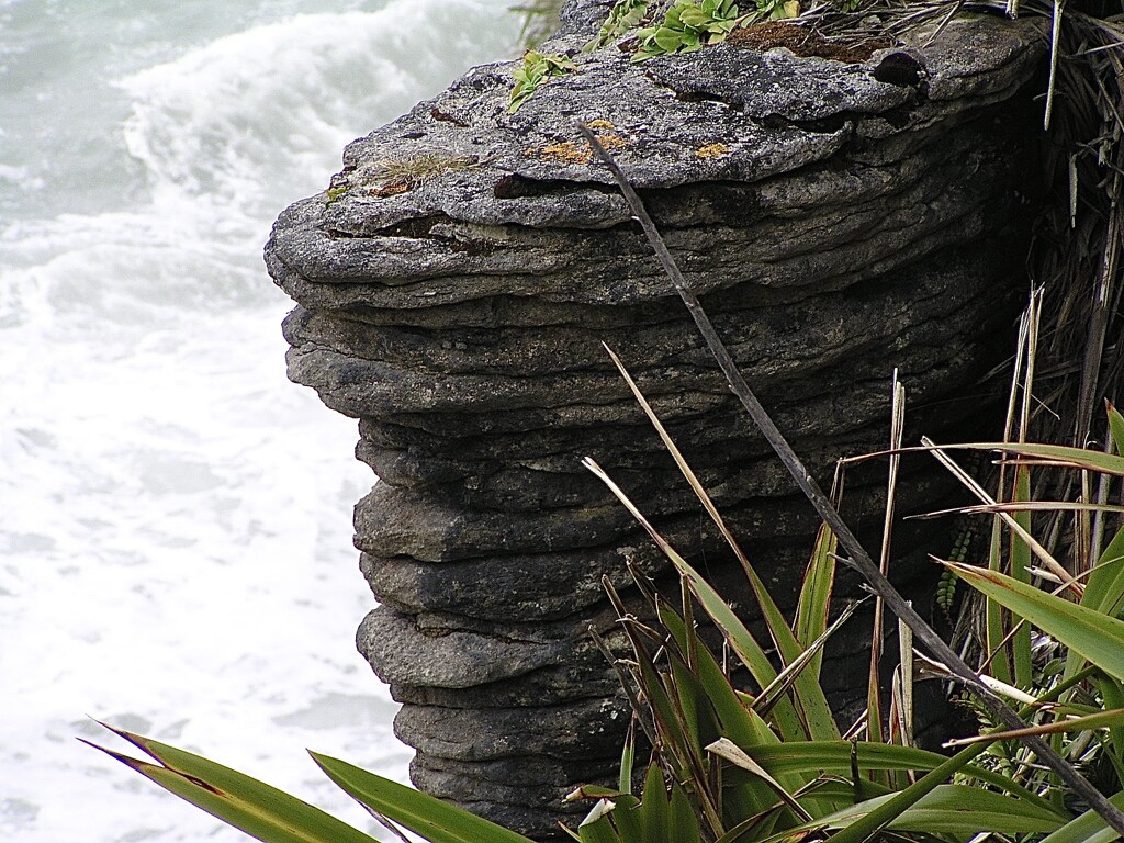 Pancake rocks (Punakahi S. I West Coast  by Dawn