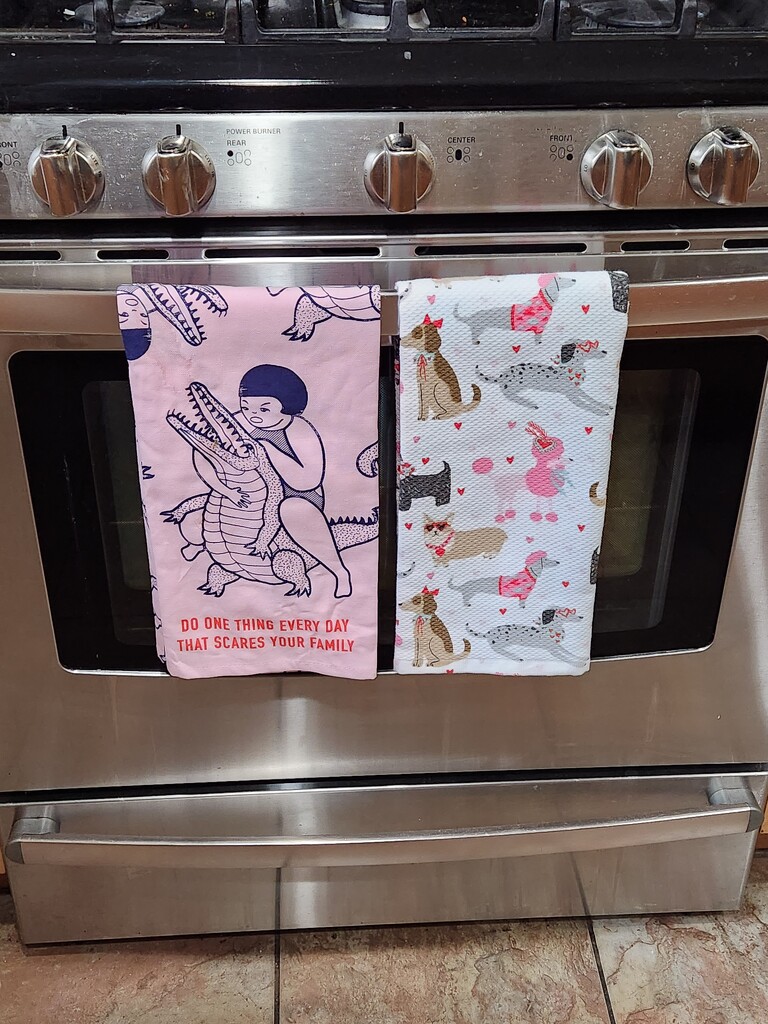 New Kitchen Towels by mariaostrowski