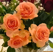 5th Jul 2023 -  Roses To Celebrate Good News From The Cardiologist ~