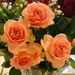  Roses To Celebrate Good News From The Cardiologist ~ by happysnaps