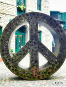 5th Jul 2023 - “Symbolic Peace" ~ Distillery District, Toronto