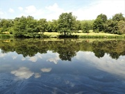 15th Jun 2023 - Reflections Highfield Park