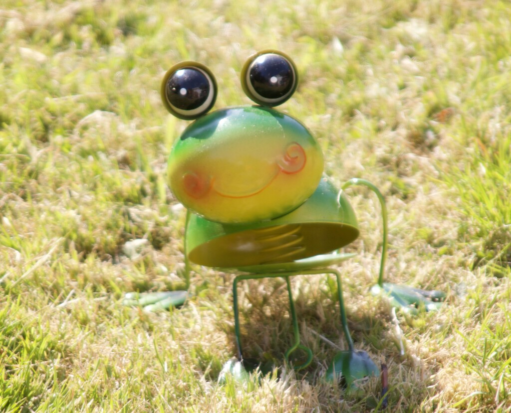 Garden Frog by philm666