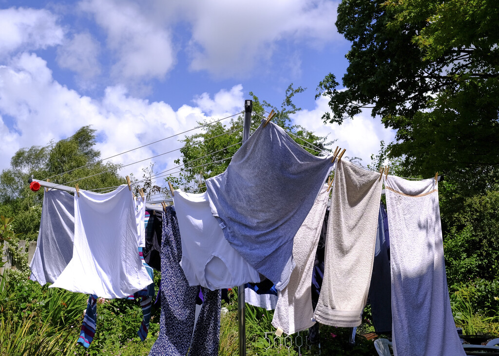 Good drying day by kametty