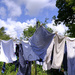 Good drying day by kametty