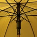 Umbrella by upandrunning
