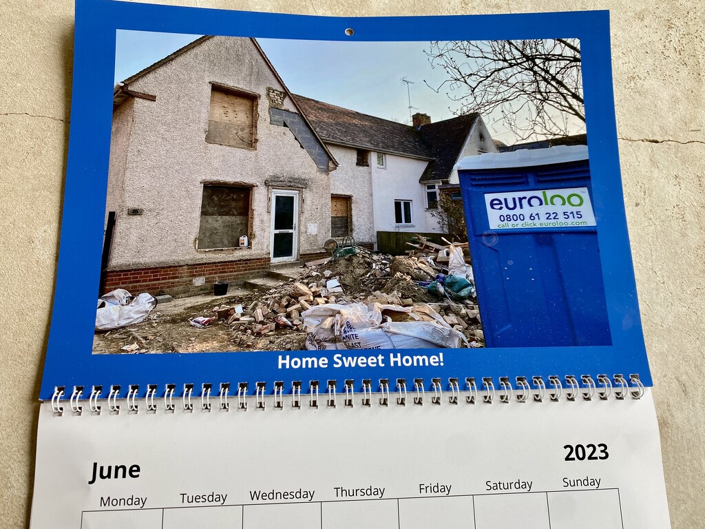 June calendar by lizgooster