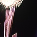 Jul 4 fireworks wave of light by sandlily