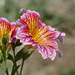 Colorful... by seattlite
