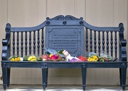6th Jul 2023 - Bench donated in remembrance of the late Diana, Princess of Wales