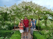 4th Jul 2023 - The White Garden, Sissinghurst