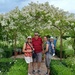 The White Garden, Sissinghurst by susiemc