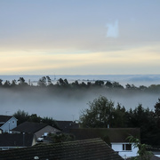 1st Jul 2023 - Morning mist