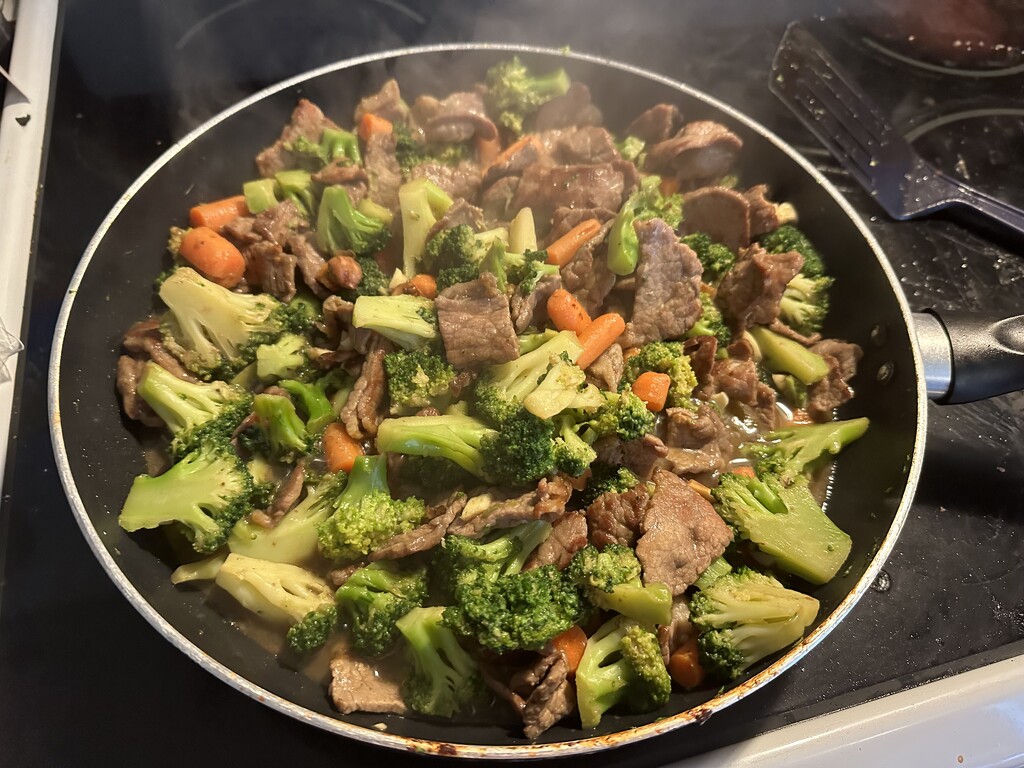 Broccoli Beef by pandorasecho