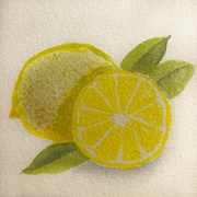 7th Jul 2023 - Lemon