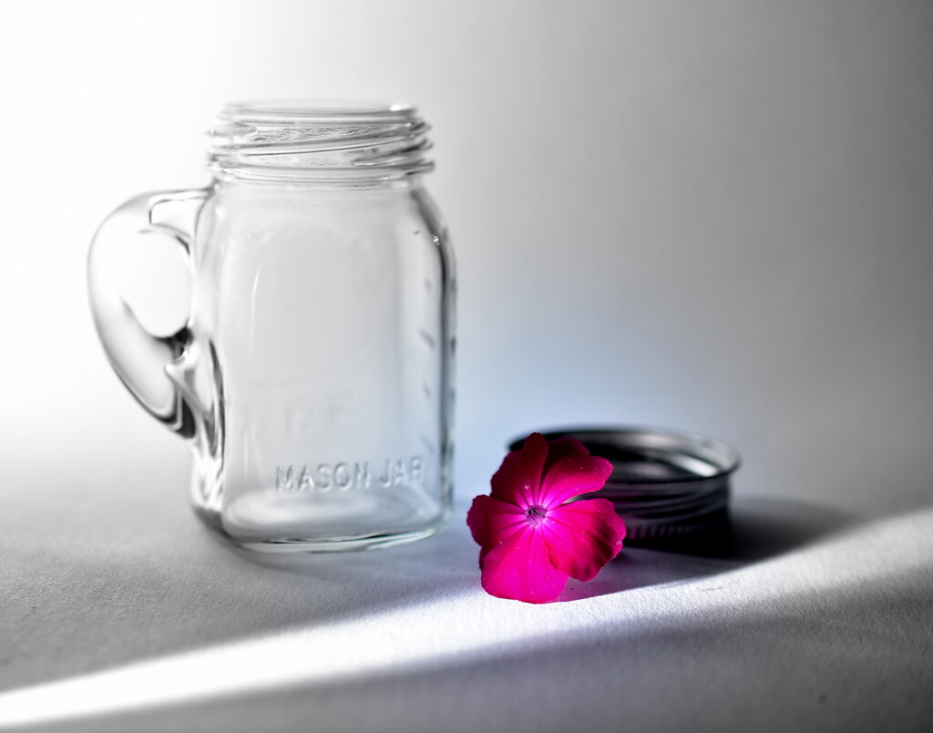 The Mason Jar by jayberg