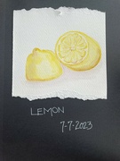 7th Jul 2023 - WWCM  Day 7    Lemon