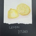 WWCM  Day 7    Lemon by theredcamera