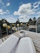 6th Jul 2023 - Reading with this cloudy view