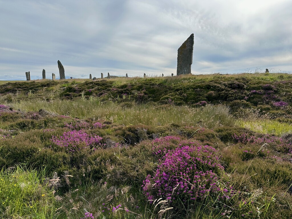 Ring of Brodgar by 365projectmaxine