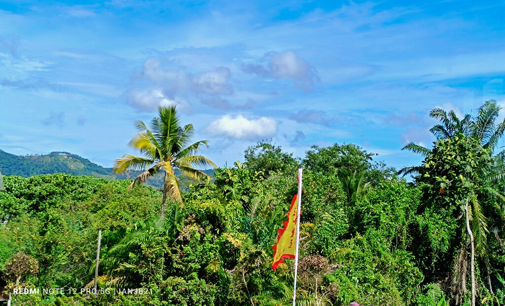 Jungle Balik Pulau by ianjb21