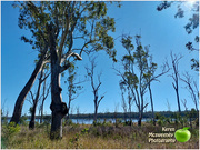 8th Jul 2023 - Woorolin Wetland in the South Burnett