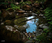 8th Jul 2023 - Pool Reflection