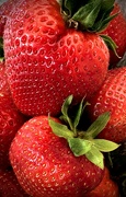 8th Jul 2023 - Fresh Berries