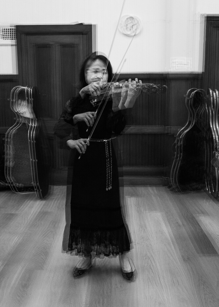 Violinist by yaorenliu