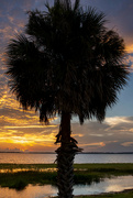10th Jul 2023 - Florida sunset