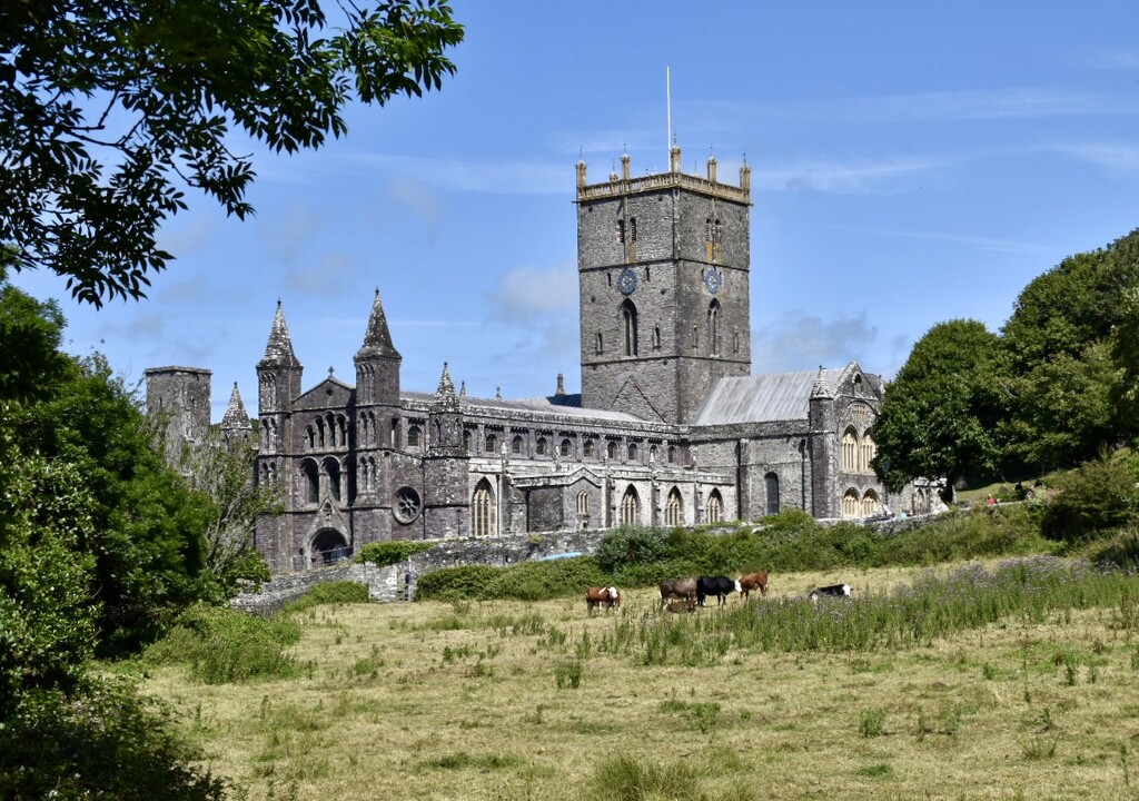 St David’s Cathedral. by wakelys