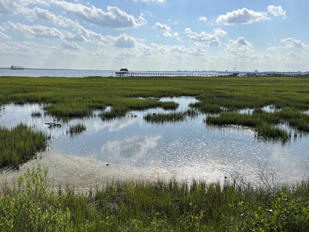 Low tide marsh and Charleston Harbor in the distance by congaree